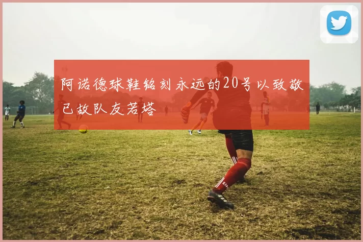 阿诺德球鞋铭刻永远的20号以致敬已故队友若塔