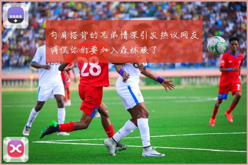 勾肩搭背的兄弟情深引发热议网友调侃你们要加入森林狼了